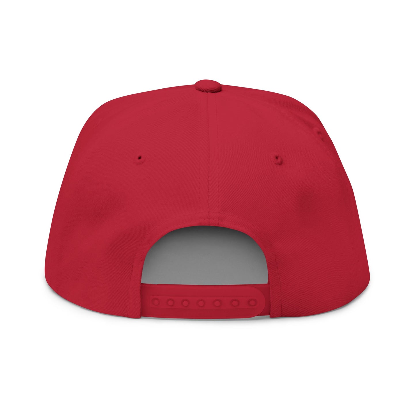 Nicer Than My Face Looks Flat Bill Cap, Funny Hat Gift, Snapback Cap, Casual Style, Embroidered Cap, Unique Accessory