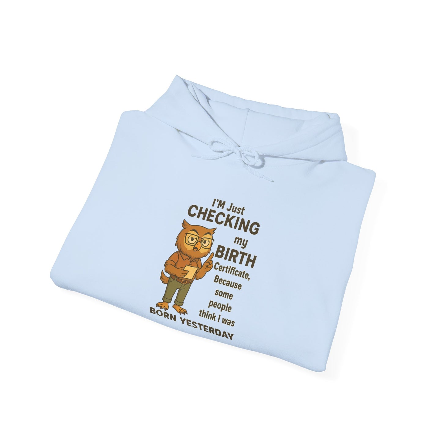 Funny Birthday Sweatshirt, Humorous Gift for Friends, Cozy Hooded Sweatshirt, Casual Wear, Unisex Birthday Apparel
