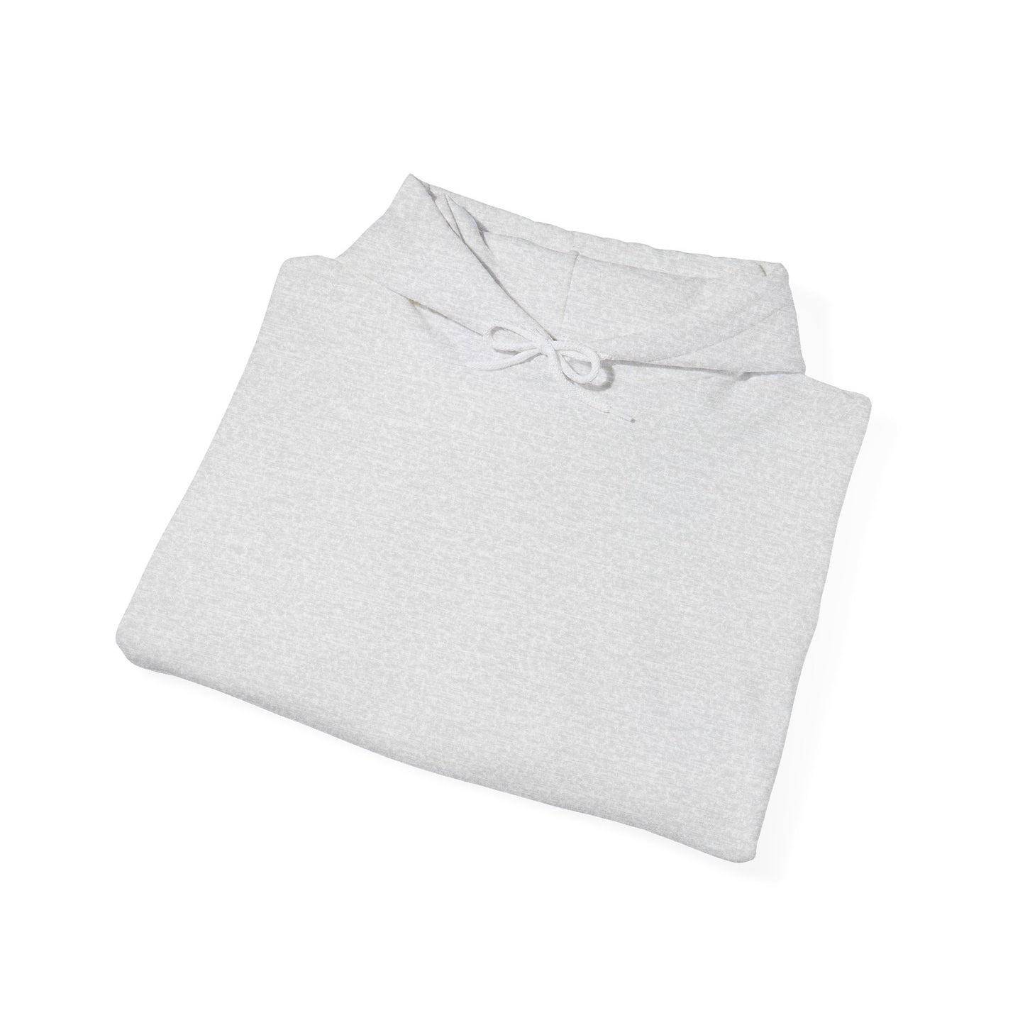 BudgetFlexxx Heavy Blend Hoodie