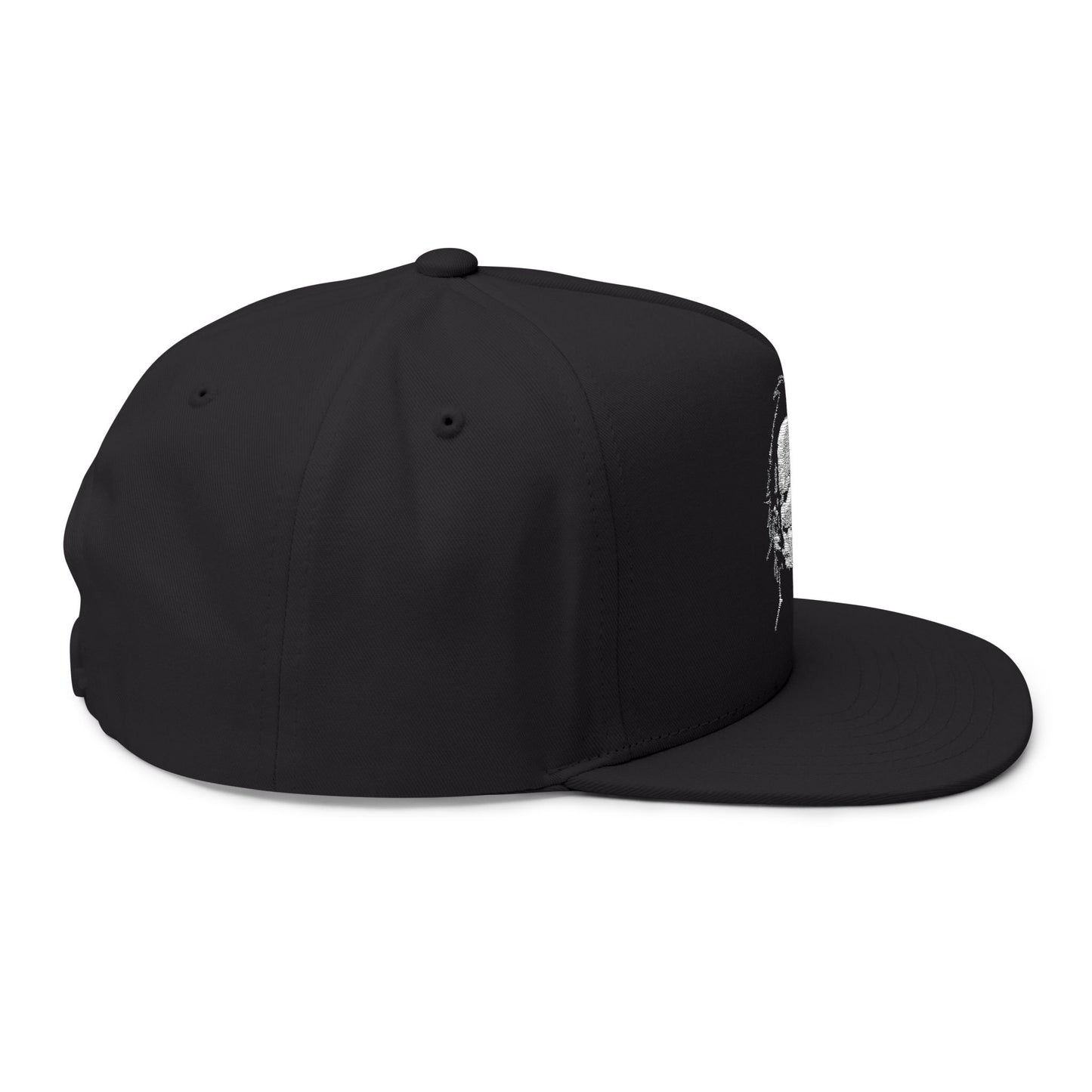 Nicer Than My Face Looks Flat Bill Cap, Funny Hat Gift, Snapback Cap, Casual Style, Embroidered Cap, Unique Accessory