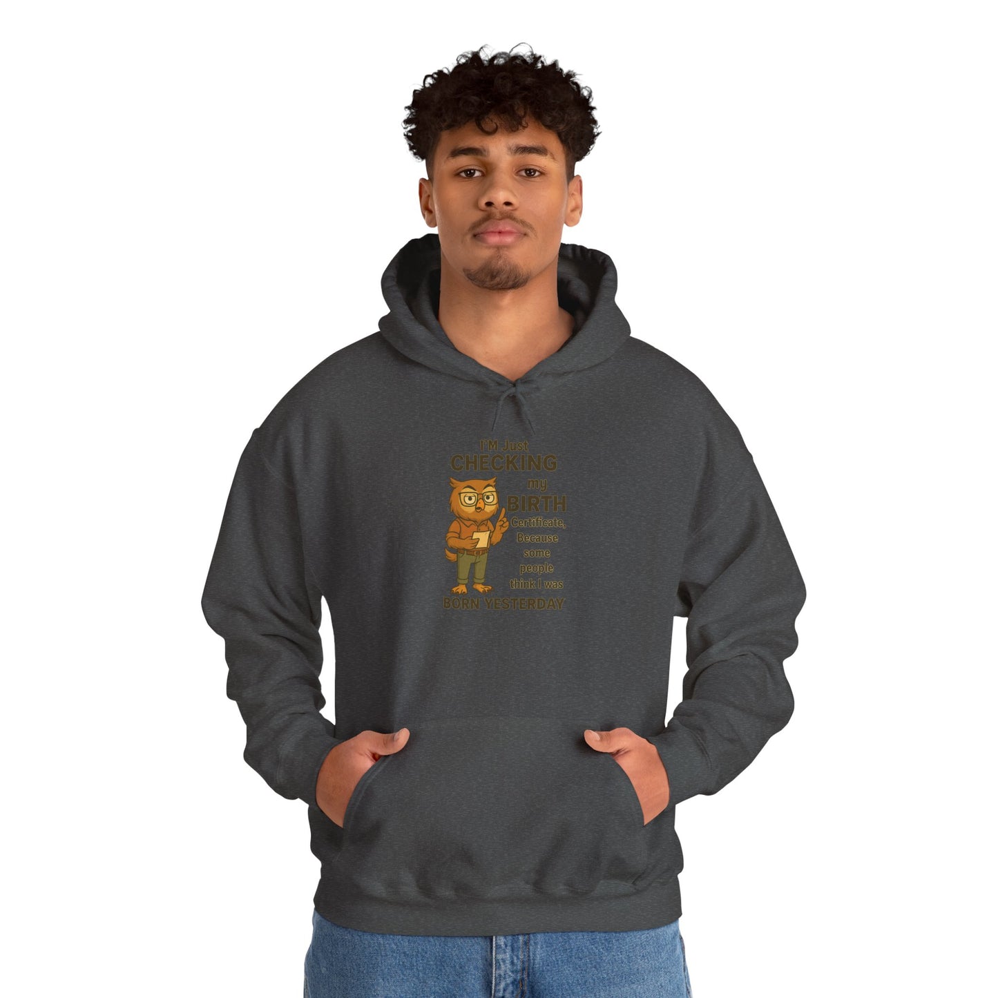 Funny Birthday Sweatshirt, Humorous Gift for Friends, Cozy Hooded Sweatshirt, Casual Wear, Unisex Birthday Apparel