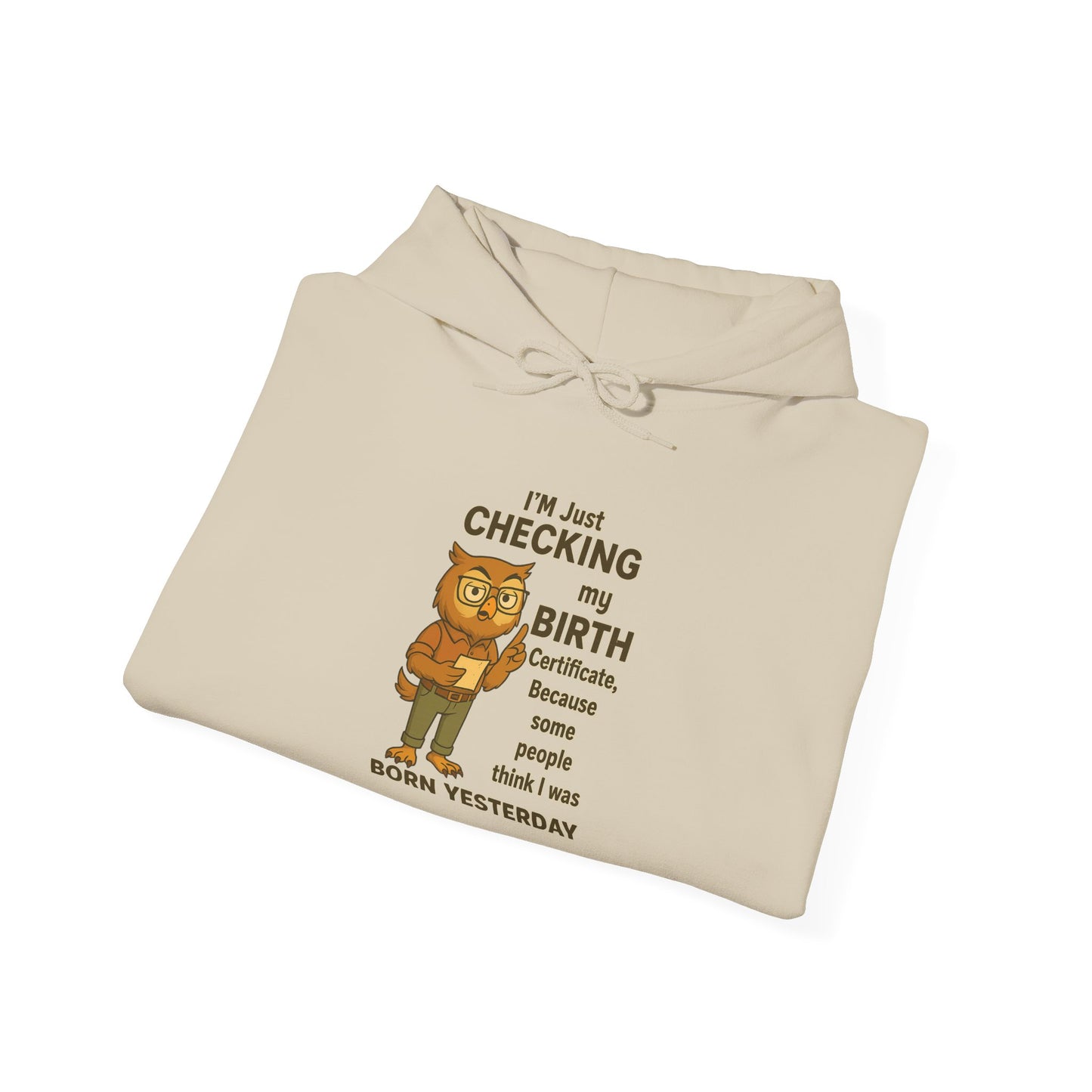 Funny Birthday Sweatshirt, Humorous Gift for Friends, Cozy Hooded Sweatshirt, Casual Wear, Unisex Birthday Apparel