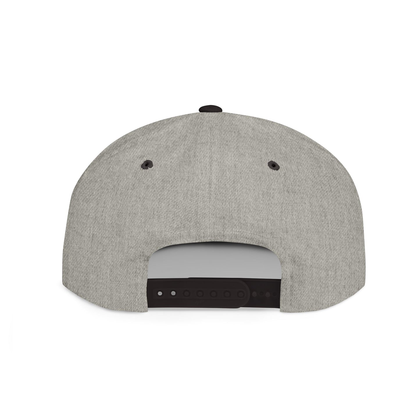 BudgetFlexxx Snapback Hat