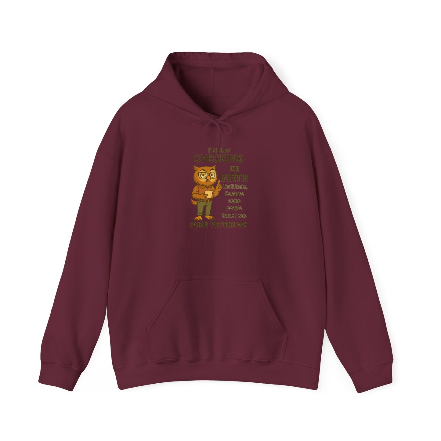 Funny Birthday Sweatshirt, Humorous Gift for Friends, Cozy Hooded Sweatshirt, Casual Wear, Unisex Birthday Apparel