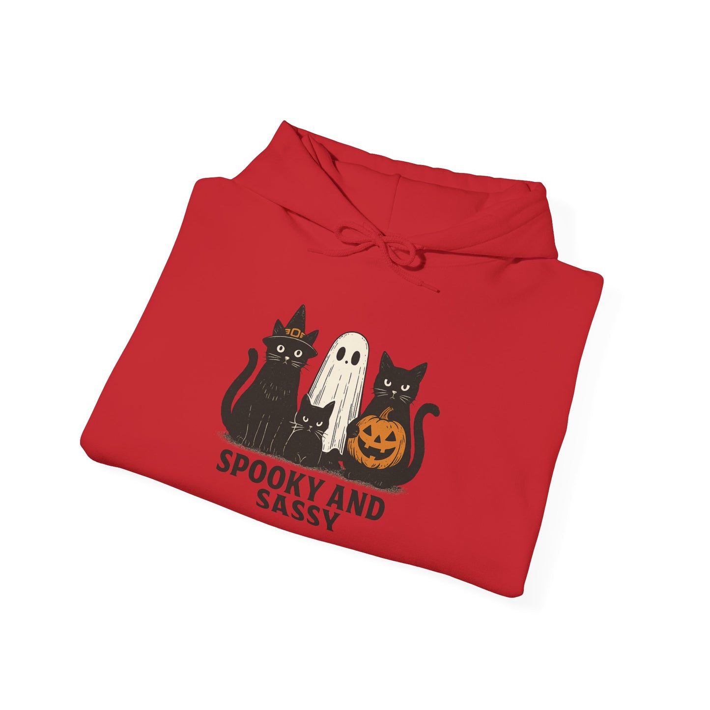Spooky and Sassy Hoodie, Halloween Hoodie, Unisex Fall Apparel, Cozy Cat Ghost Wear, Perfect for Fall Festivities