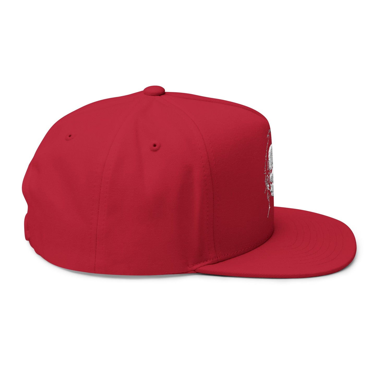 Nicer Than My Face Looks Flat Bill Cap, Funny Hat Gift, Snapback Cap, Casual Style, Embroidered Cap, Unique Accessory
