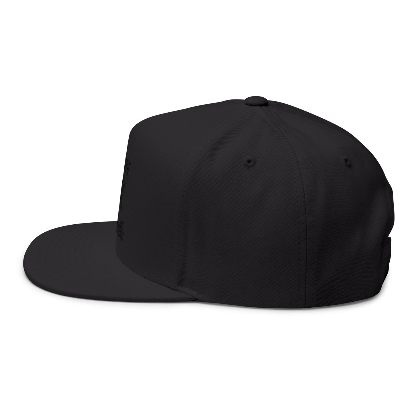 Vibin' with My Demons Flat Bill Cap, Cool Embroidered Hat, Gothic Aesthetic Accessory, Fashion Statement Hat, Great for Festivals, Gifts