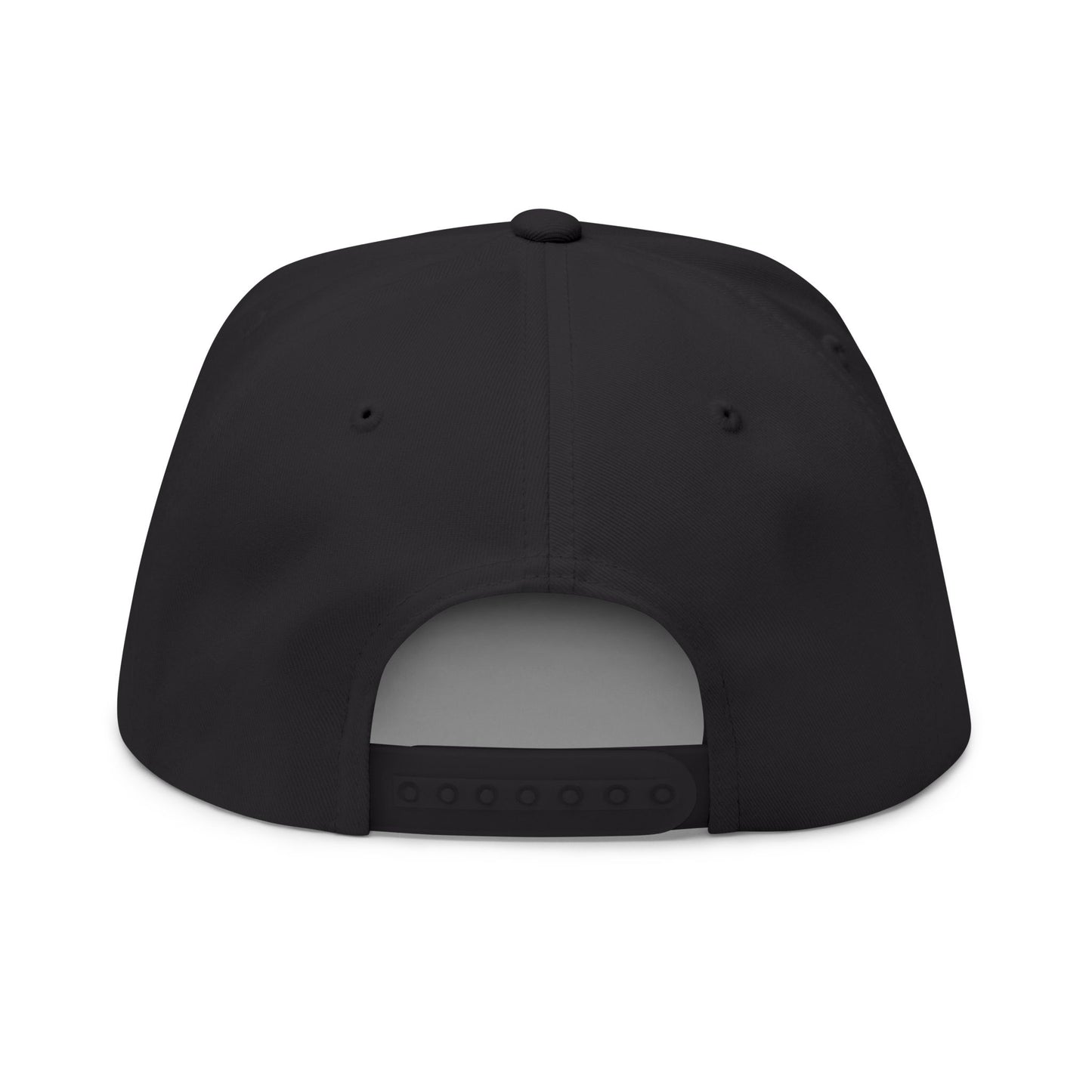 Nicer Than My Face Looks Flat Bill Cap, Funny Hat Gift, Snapback Cap, Casual Style, Embroidered Cap, Unique Accessory