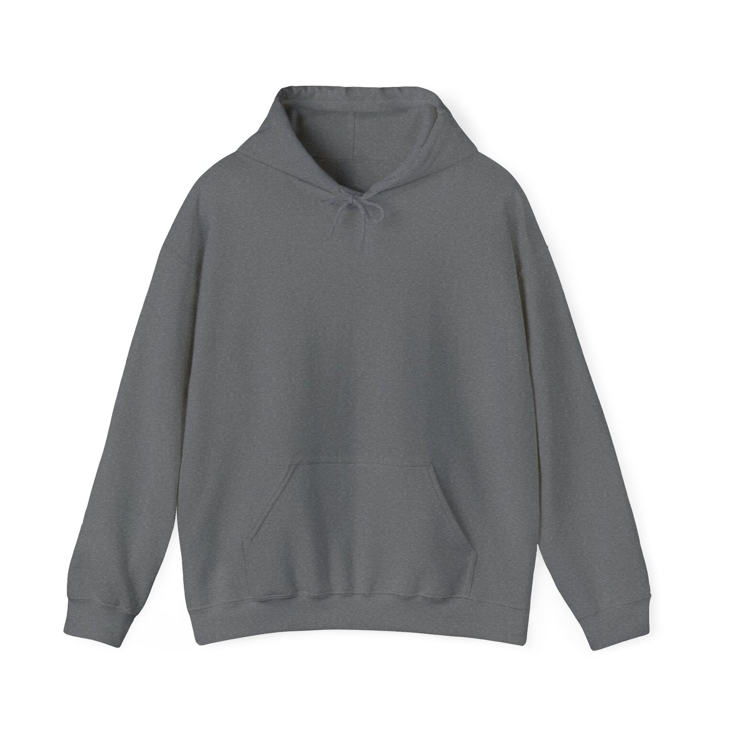 BudgetFlexxx Heavy Blend Hoodie