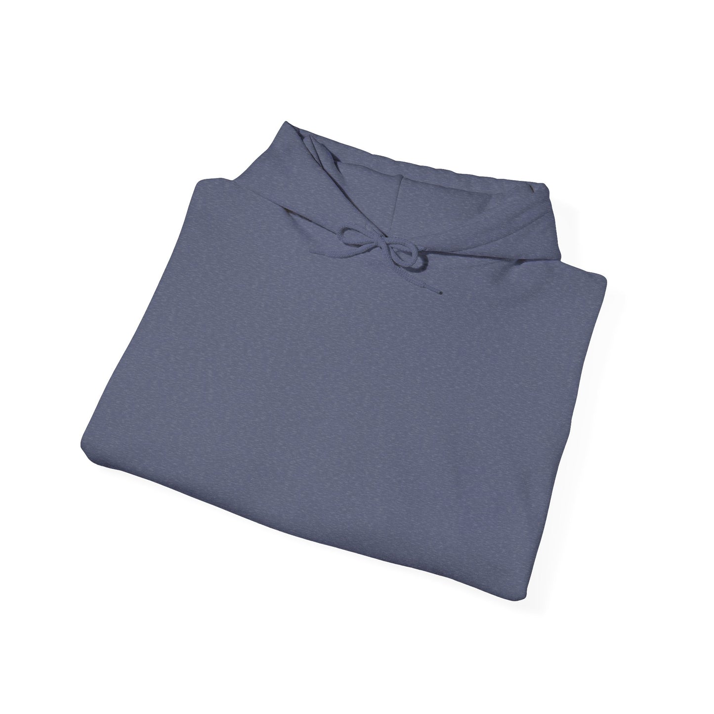 BudgetFlexxx Heavy Blend Hoodie