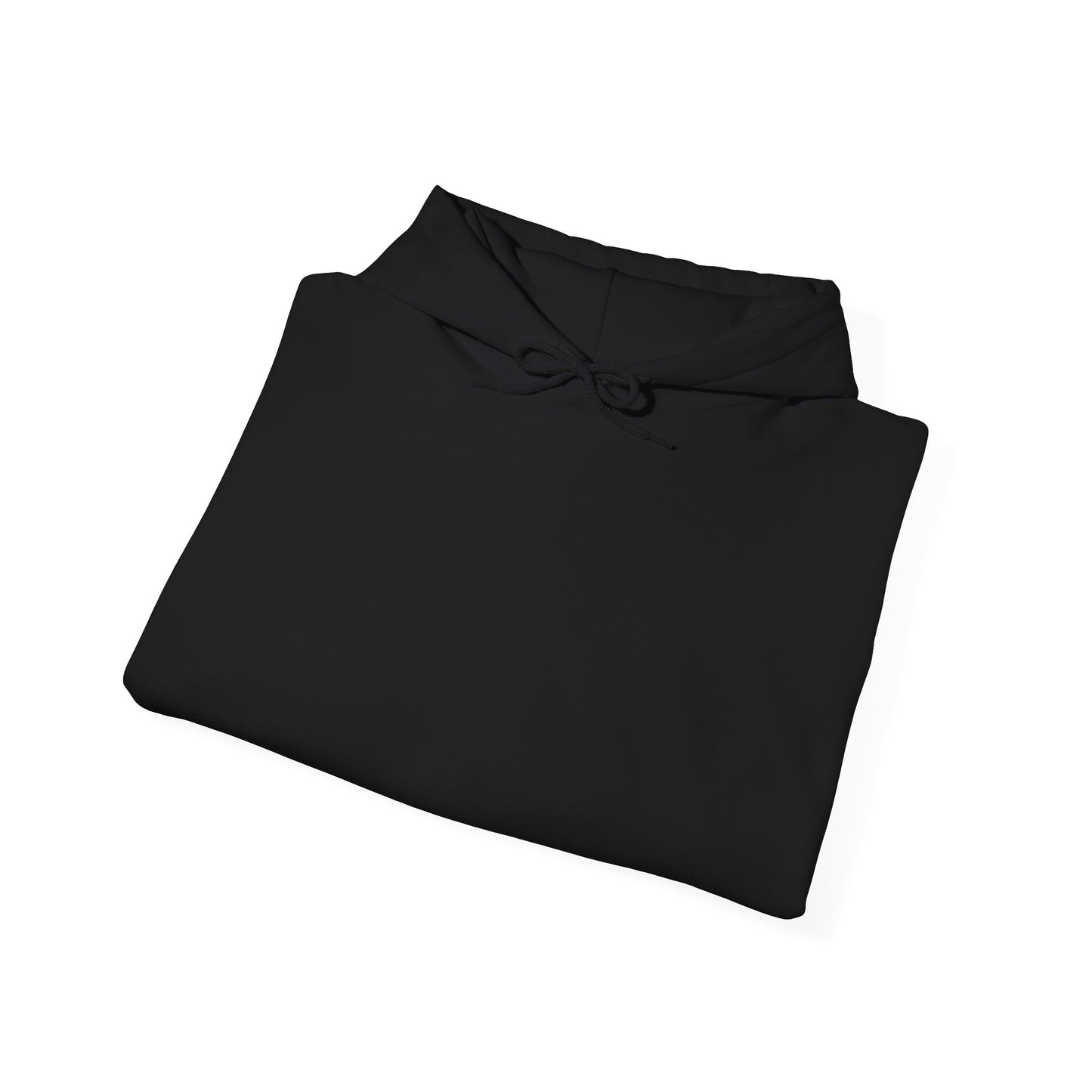 BudgetFlexxx Heavy Blend Hoodie