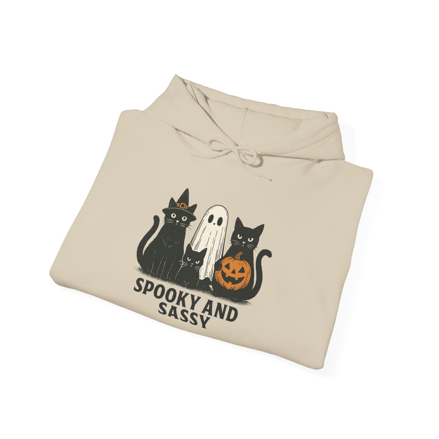 Spooky and Sassy Hoodie, Halloween Hoodie, Unisex Fall Apparel, Cozy Cat Ghost Wear, Perfect for Fall Festivities