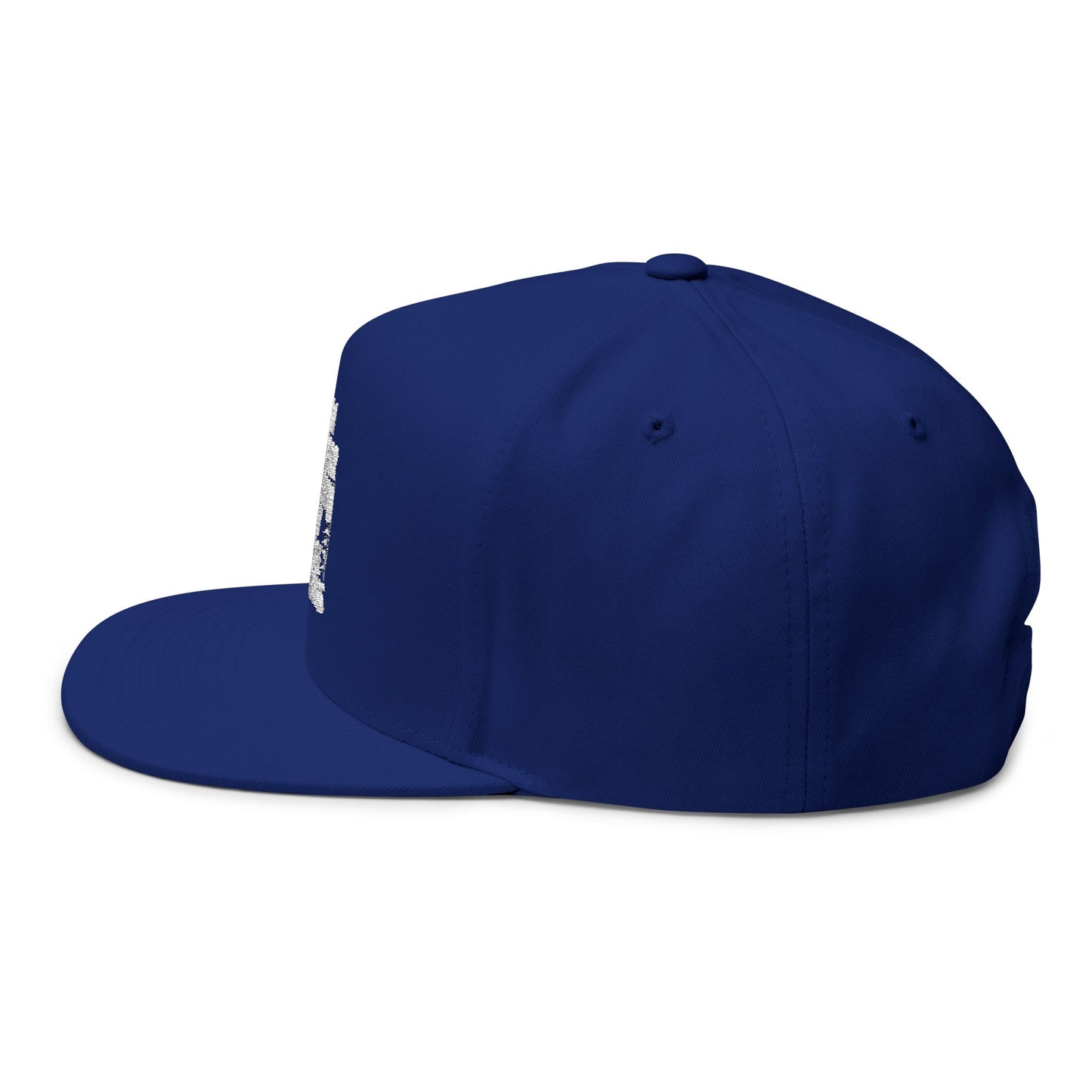 Nicer Than My Face Looks Flat Bill Cap, Funny Hat Gift, Snapback Cap, Casual Style, Embroidered Cap, Unique Accessory