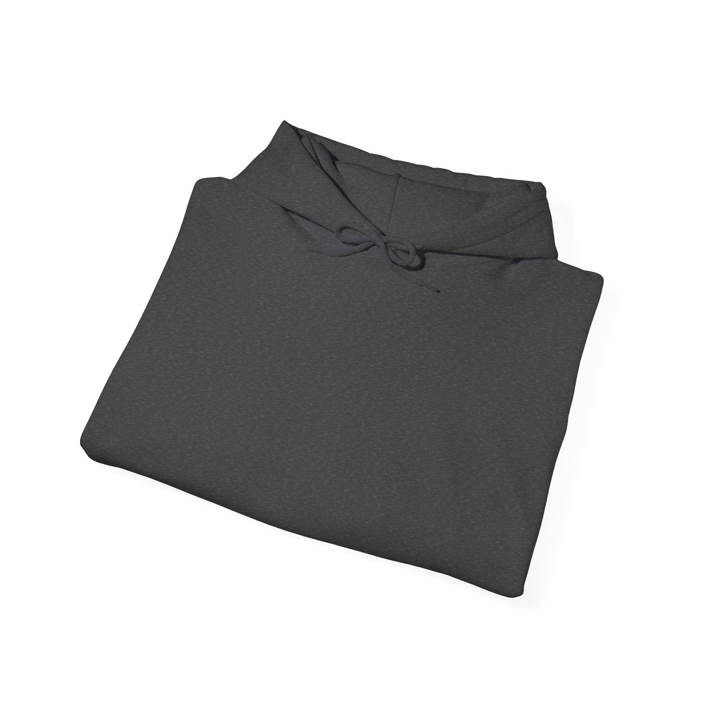BudgetFlexxx Heavy Blend Hoodie