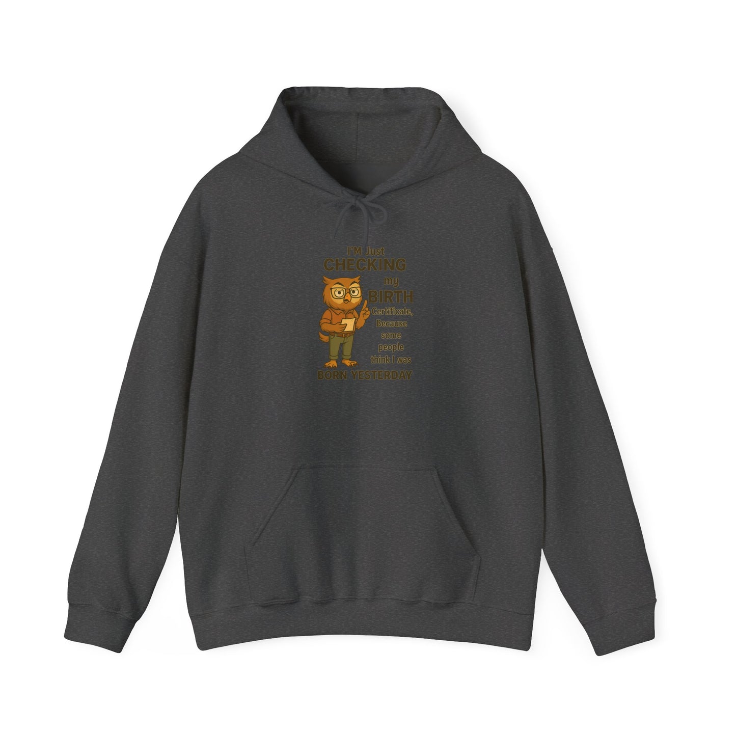 Funny Birthday Sweatshirt, Humorous Gift for Friends, Cozy Hooded Sweatshirt, Casual Wear, Unisex Birthday Apparel