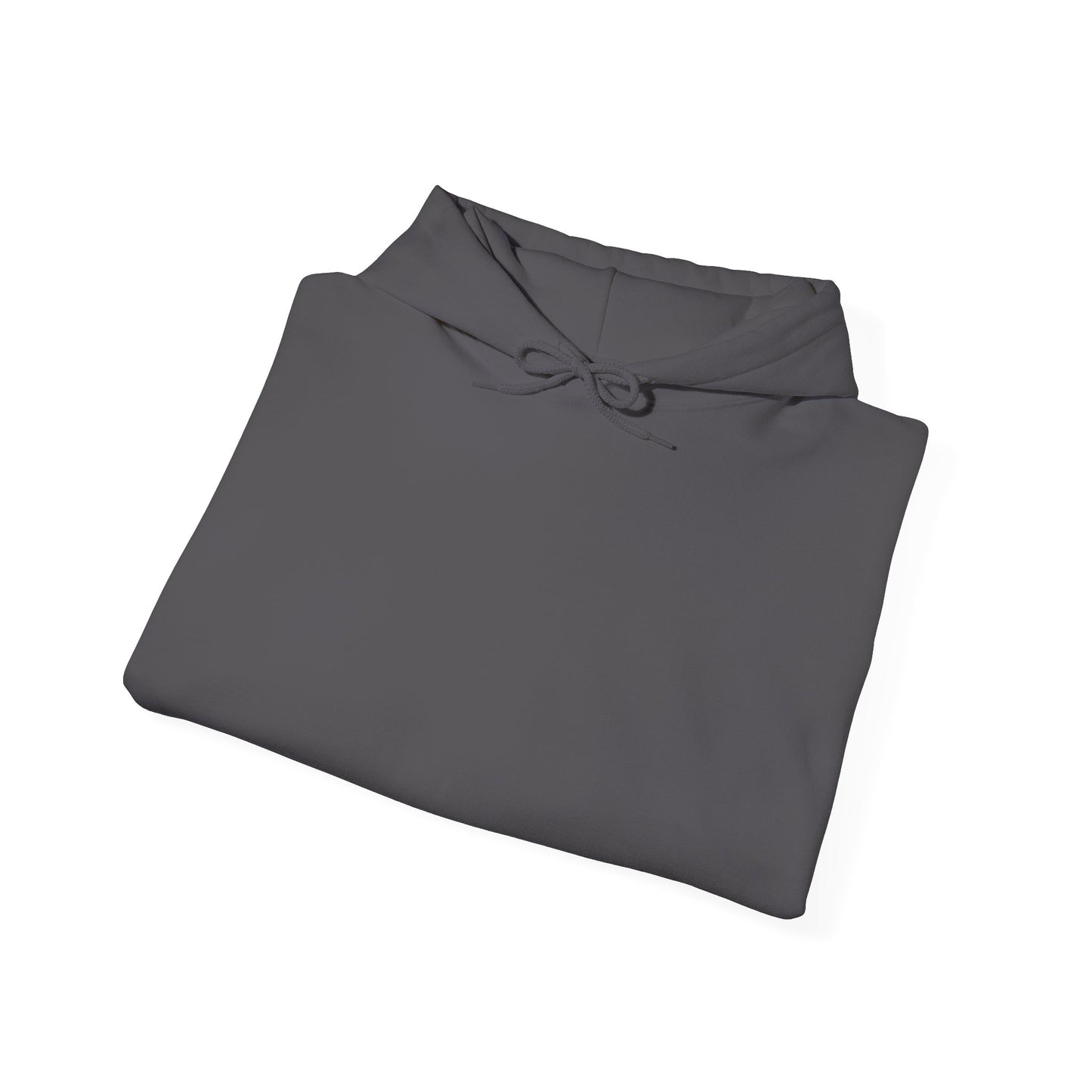 BudgetFlexxx Heavy Blend Hoodie