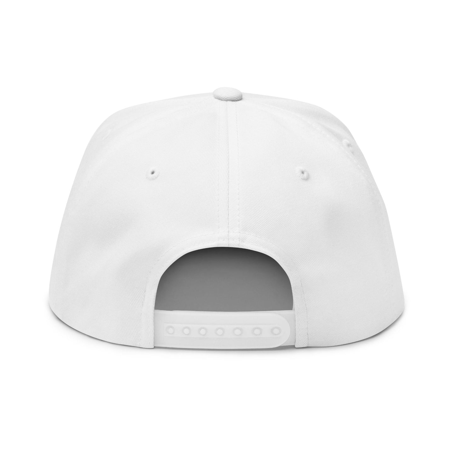 Embroidered Flat Bill Cap - Just the Tip I Promise, Fashion Hat, Dad Hat, Cool Headwear, Gift for Him, Funny Cap