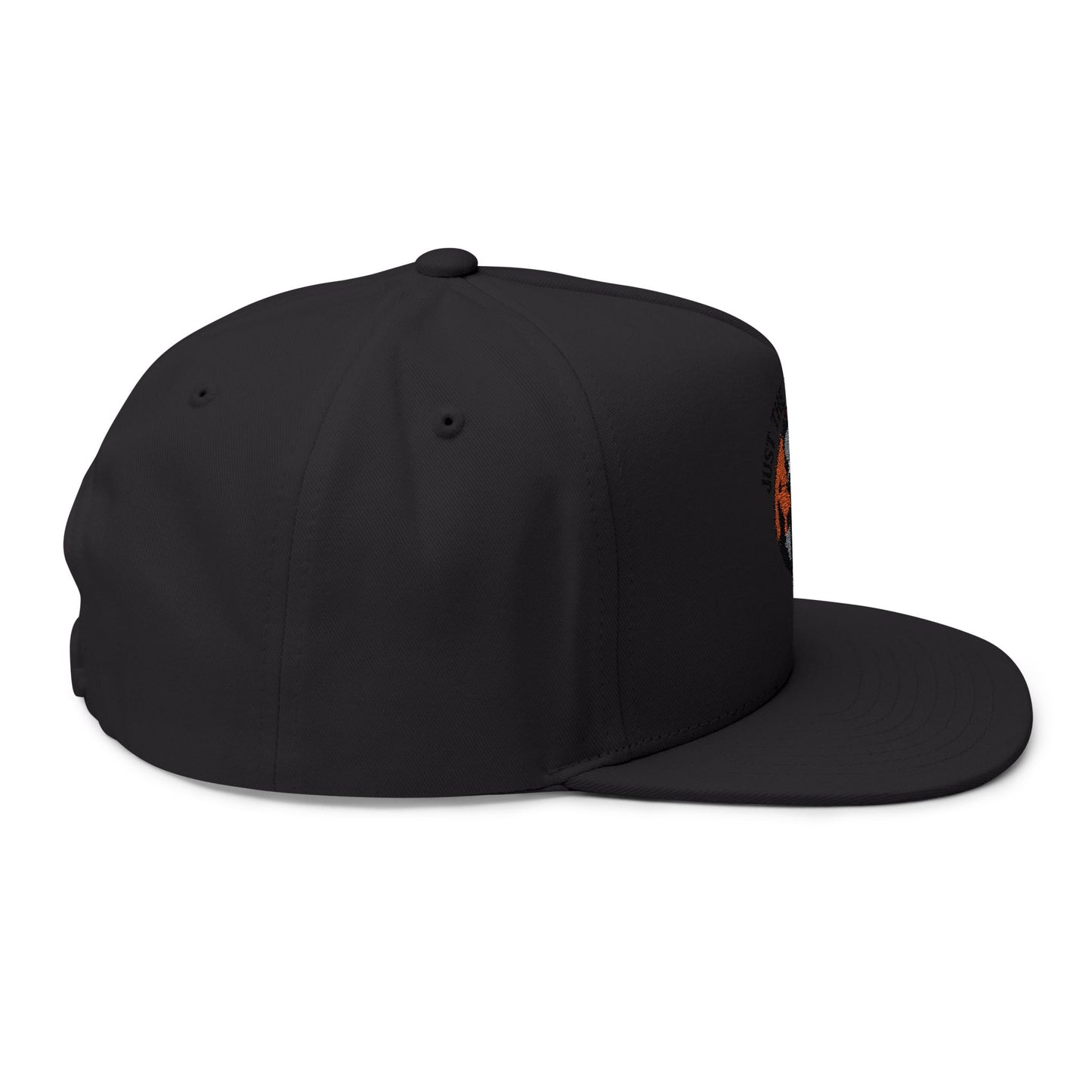 Embroidered Flat Bill Cap - Just the Tip I Promise, Fashion Hat, Dad Hat, Cool Headwear, Gift for Him, Funny Cap