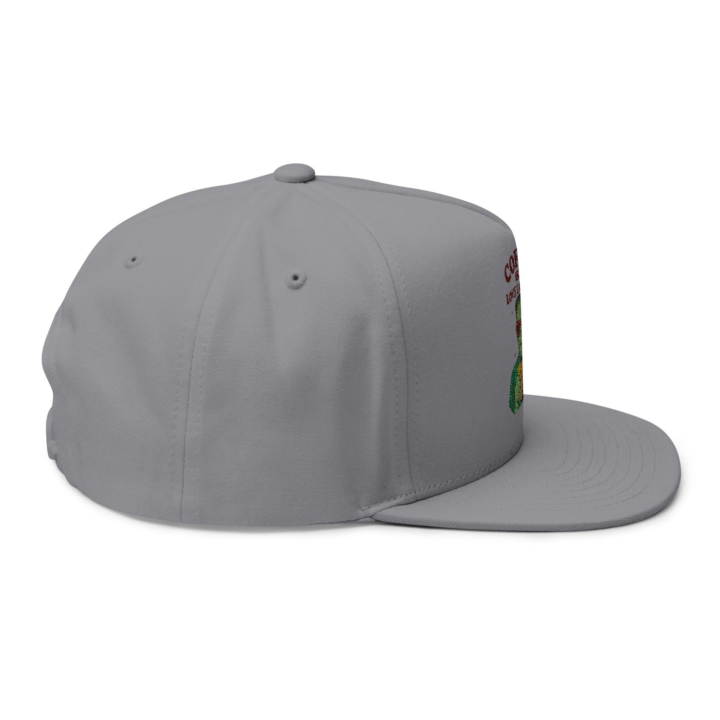 Coffee Love Language Embroidered Flat Bill Cap, Cool Hats, Gift for Coffee Lovers, Trendy Headwear, Unique Apparel