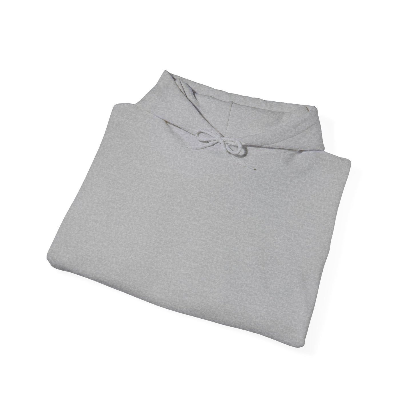 BudgetFlexxx Heavy Blend Hoodie