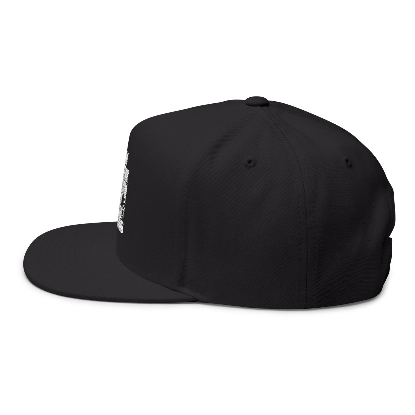 Nicer Than My Face Looks Flat Bill Cap, Funny Hat Gift, Snapback Cap, Casual Style, Embroidered Cap, Unique Accessory