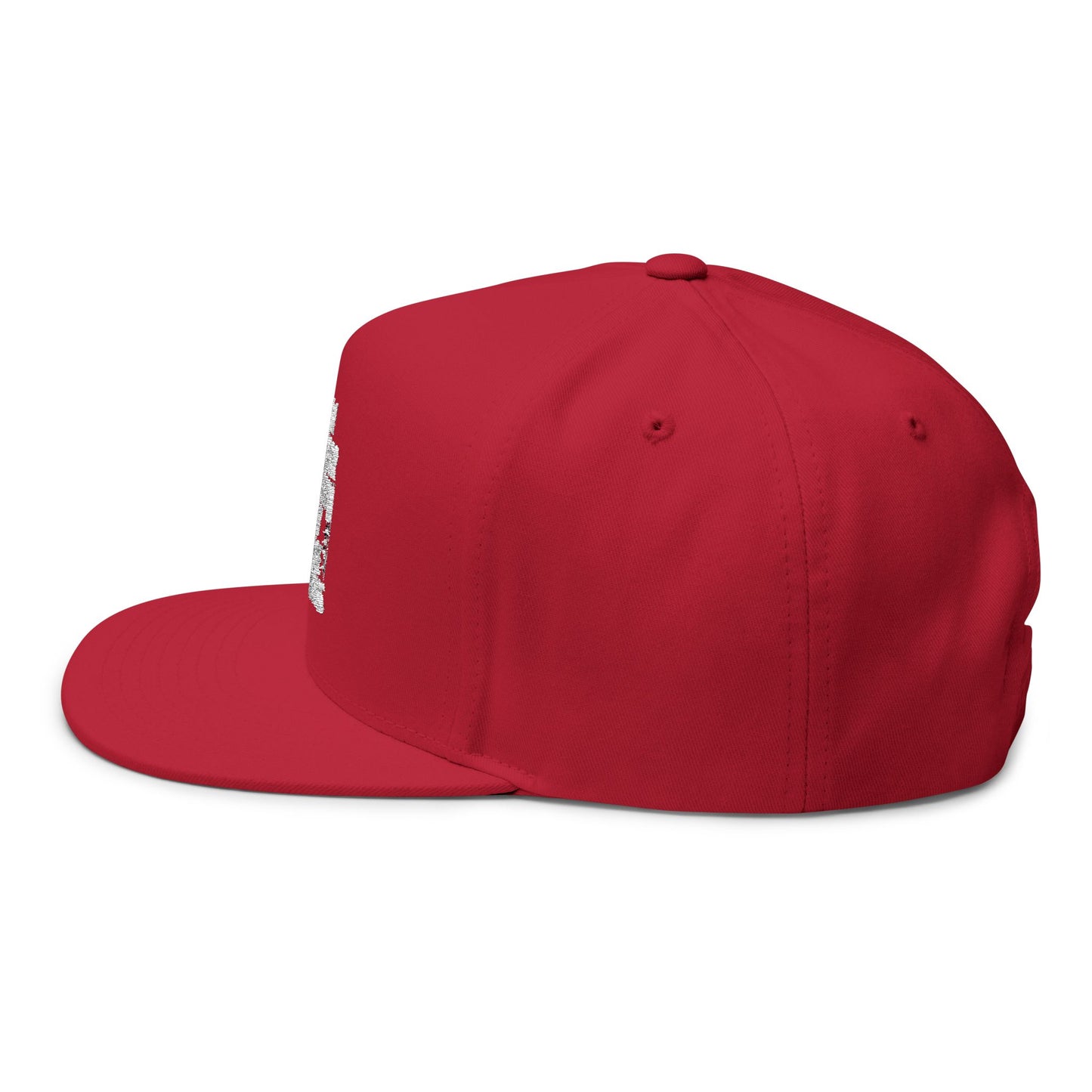 Nicer Than My Face Looks Flat Bill Cap, Funny Hat Gift, Snapback Cap, Casual Style, Embroidered Cap, Unique Accessory