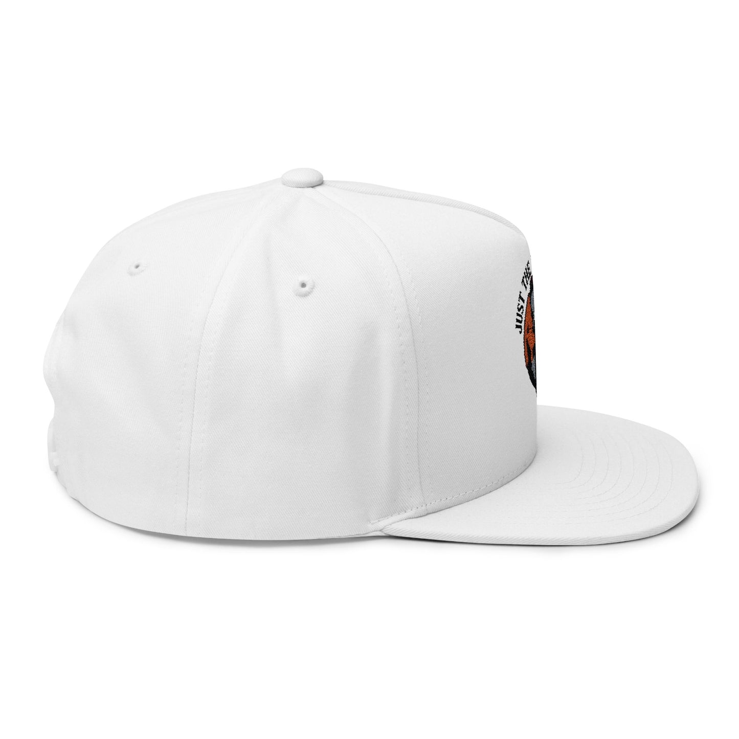 Embroidered Flat Bill Cap - Just the Tip I Promise, Fashion Hat, Dad Hat, Cool Headwear, Gift for Him, Funny Cap