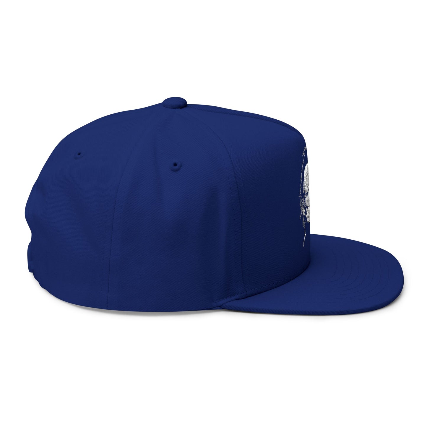 Nicer Than My Face Looks Flat Bill Cap, Funny Hat Gift, Snapback Cap, Casual Style, Embroidered Cap, Unique Accessory