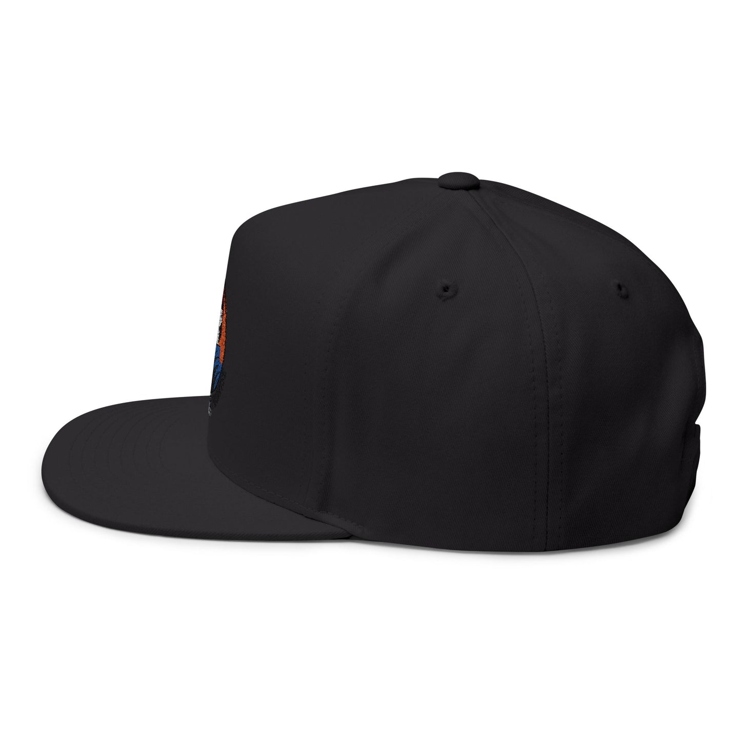 Embroidered Flat Bill Cap - Just the Tip I Promise, Fashion Hat, Dad Hat, Cool Headwear, Gift for Him, Funny Cap