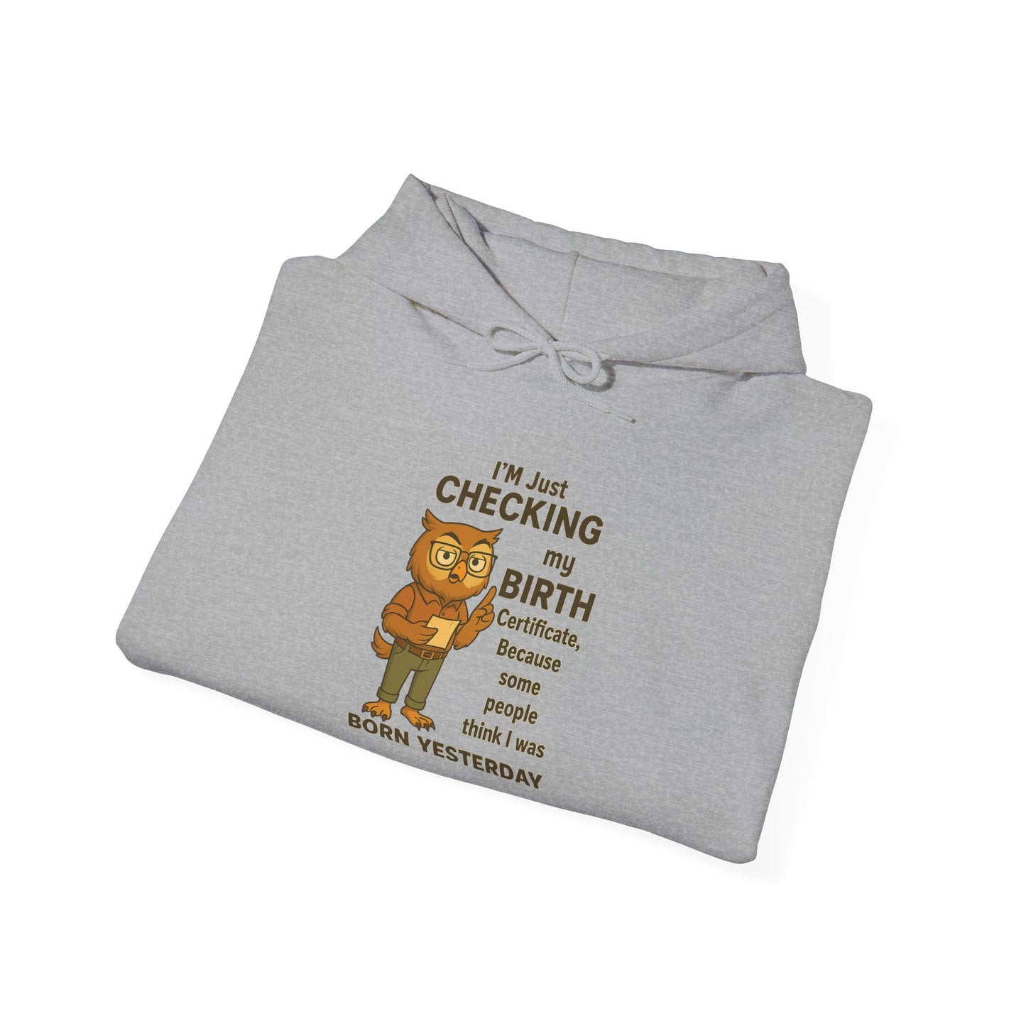 Funny Birthday Sweatshirt, Humorous Gift for Friends, Cozy Hooded Sweatshirt, Casual Wear, Unisex Birthday Apparel