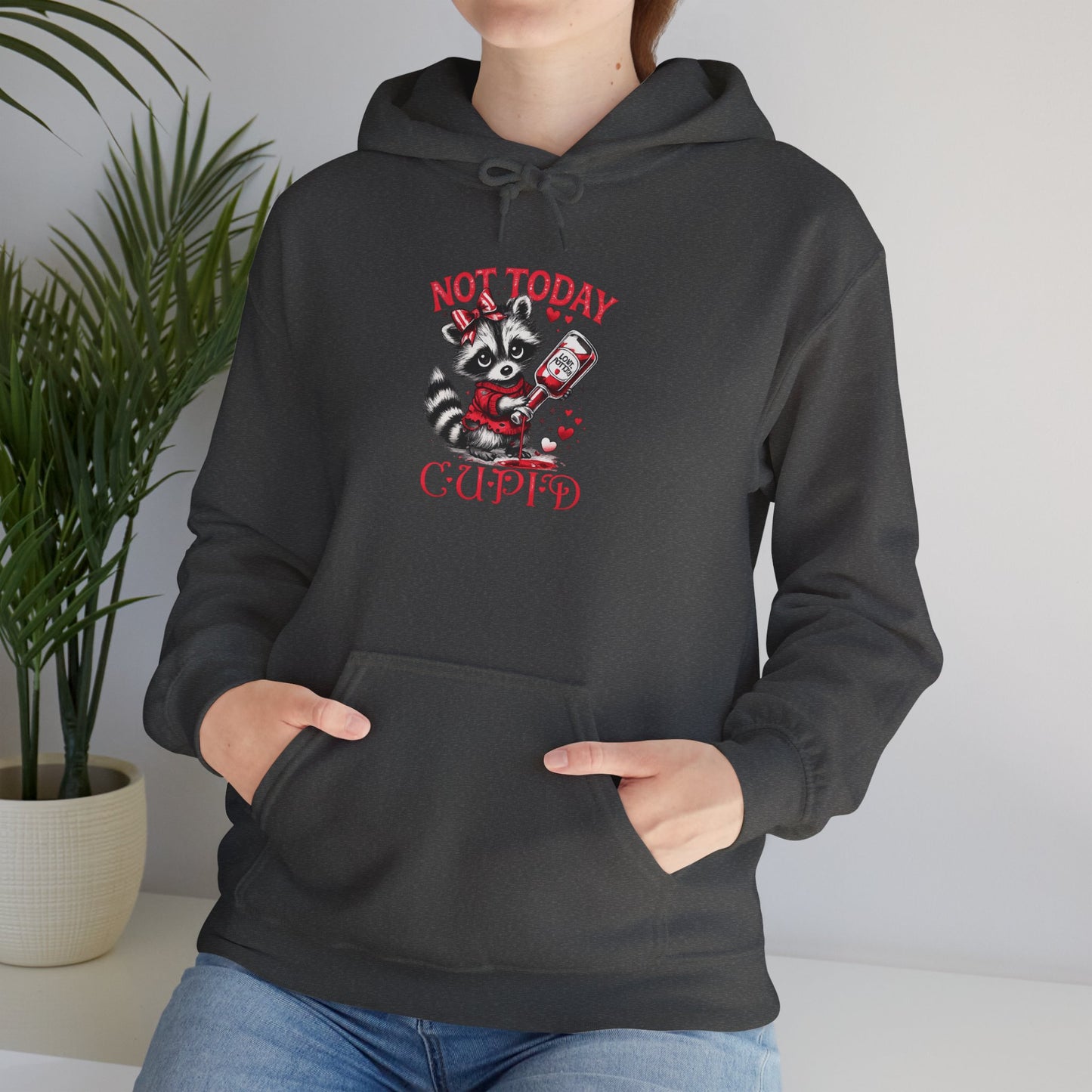 Not Today Cupido Raccoon Hoodie — Funny Valentine Anti-Love Sweatshirt