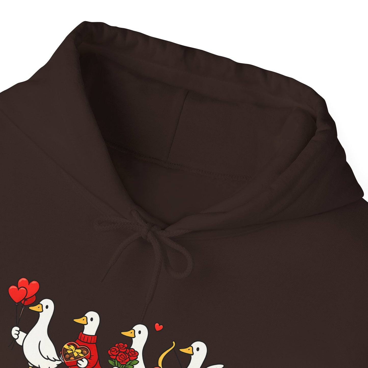 Cute Duck Family Hoodie — Whimsical Springtime Birds Pullover