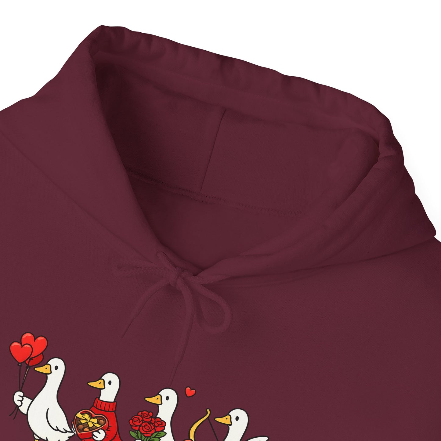 Cute Duck Family Hoodie — Whimsical Springtime Birds Pullover