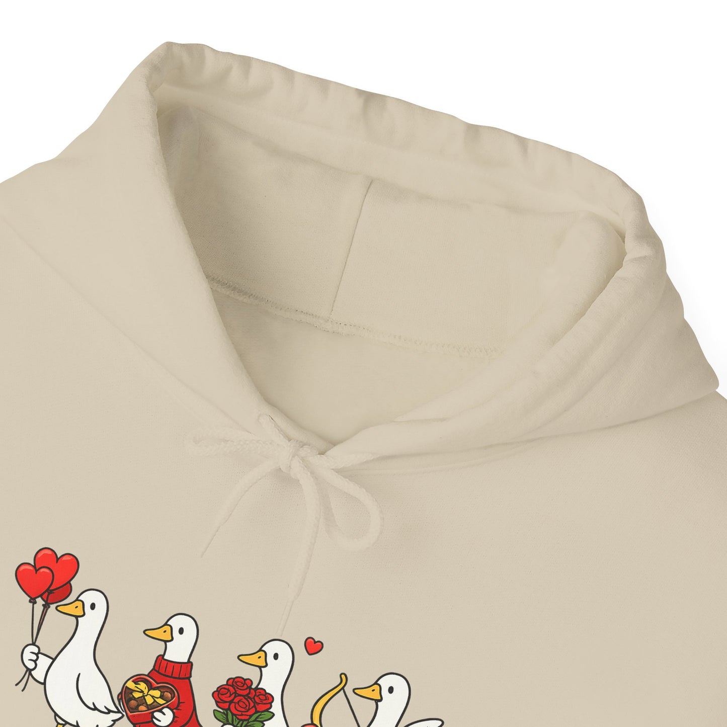 Cute Duck Family Hoodie — Whimsical Springtime Birds Pullover