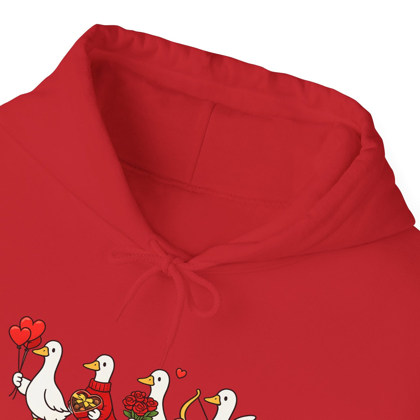Cute Duck Family Hoodie — Whimsical Springtime Birds Pullover