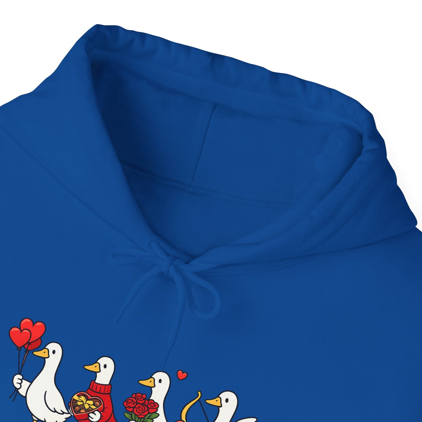 Cute Duck Family Hoodie — Whimsical Springtime Birds Pullover