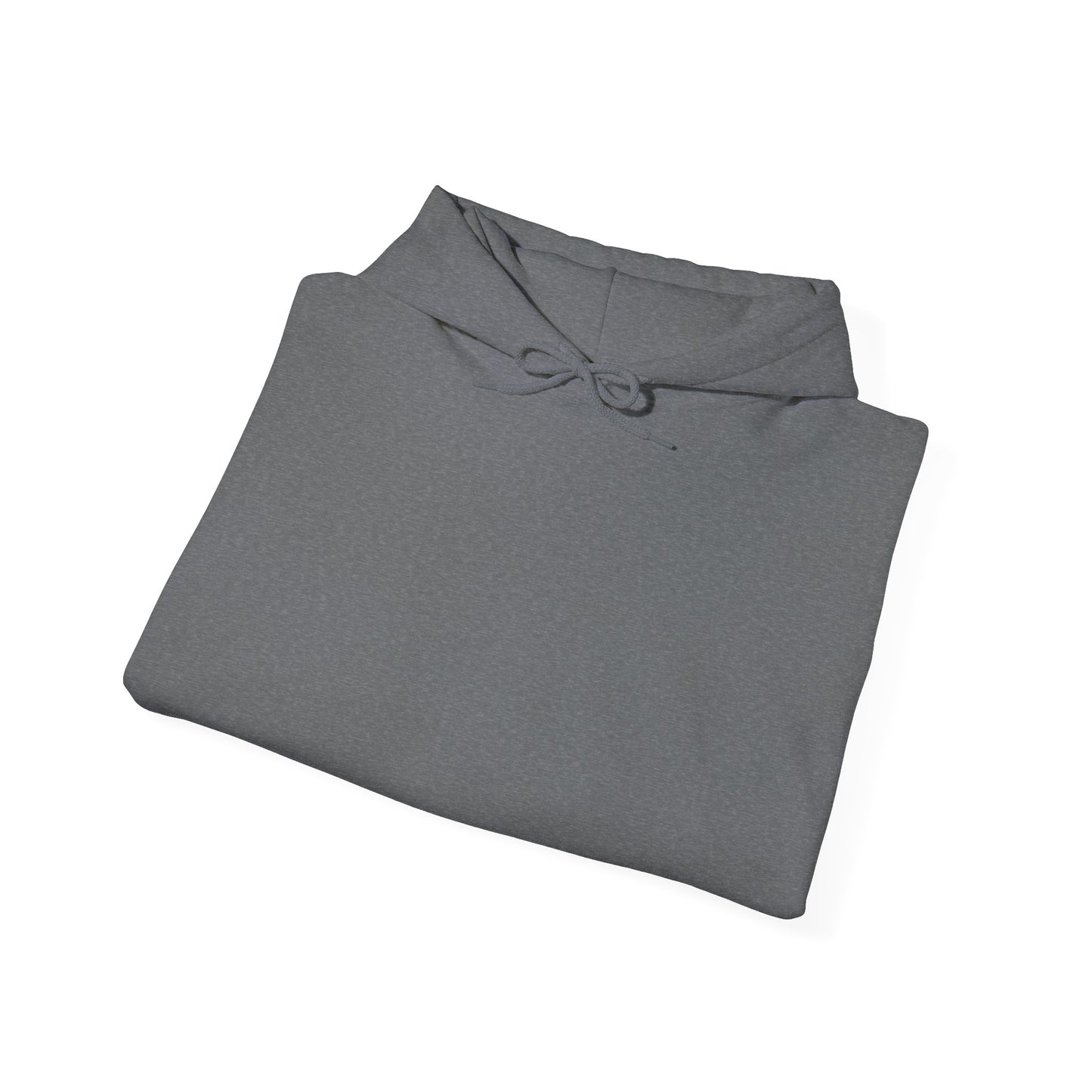 BudgetFlexxx Heavy Blend Hoodie
